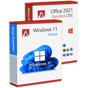Microsoft Office 2021 Standard & Win 11 Home Keys