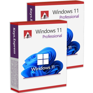 Microsoft Windows 11 Pro (2 Keys)
