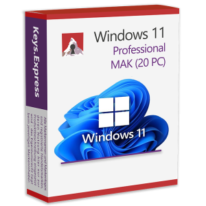 Microsoft Windows 11 Professional Key (20 PC)