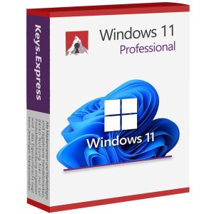 Microsoft Windows 11 Professional Key