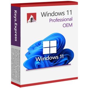 Microsoft Windows 11 Professional OEM Key