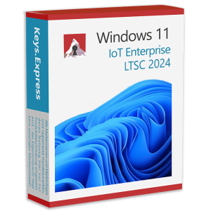 Microsoft Windows 11 Enterprise IoT LTSC 2024 Key