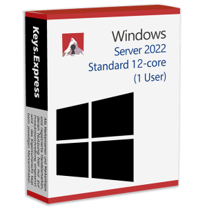 Microsoft Server 2022 Standard 12-core Key (1 User)
